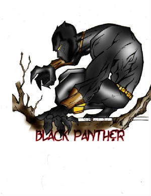 blackpancolor.jpg